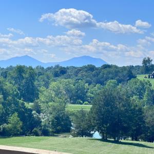 Photo #72 of 121 Pleasant View Drive, Goode, VA 2.9 acres