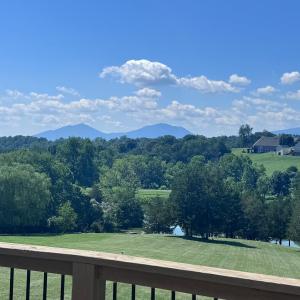 Photo #70 of 121 Pleasant View Drive, Goode, VA 2.9 acres