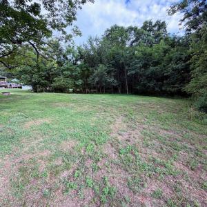 Photo #18 of 197 Tyree Circle, Madison Heights, VA 1.3 acres