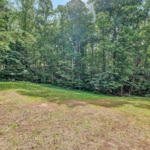 Photo #26 of 1113 Striper Court, Moneta, VA 0.6 acres