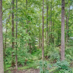 Photo #29 of 1113 Striper Court, Moneta, VA 0.6 acres