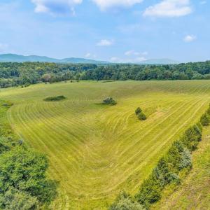 Photo #45 of 1198 Gumtree Road, Forest, VA 158.8 acres