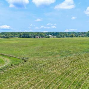 Photo #41 of 1198 Gumtree Road, Forest, VA 158.8 acres