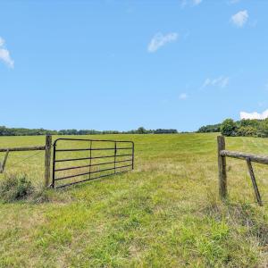Photo #31 of 1198 Gumtree Road, Forest, VA 158.8 acres