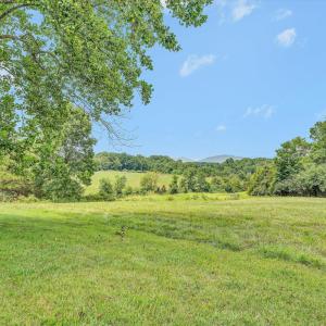 Photo #29 of 1198 Gumtree Road, Forest, VA 158.8 acres