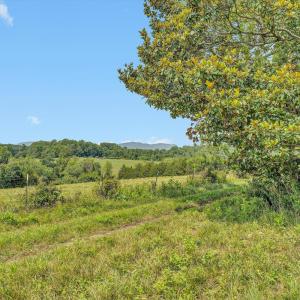 Photo #30 of 1198 Gumtree Road, Forest, VA 158.8 acres