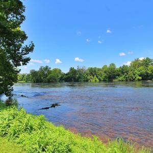 Photo #55 of 5977 James River Road, Gladstone, VA 5.9 acres
