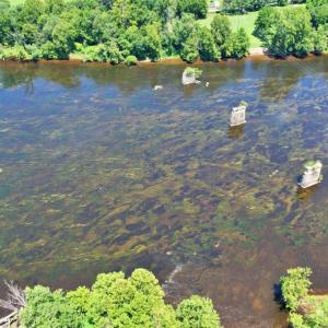 Photo #39 of 5977 James River Road, Gladstone, VA 5.9 acres