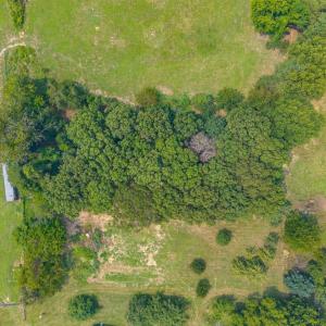 Photo #49 of 6385 Marysville Road, Gladys, VA 76.2 acres