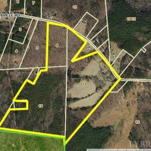 Photo #86 of 6385 Marysville Road, Gladys, VA 76.2 acres