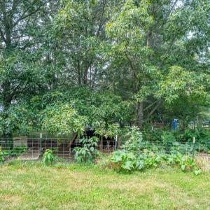 Photo #45 of 6385 Marysville Road, Gladys, VA 76.2 acres