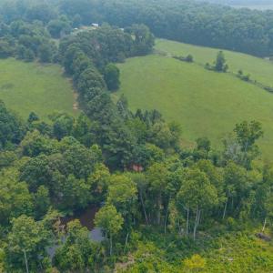 Photo #84 of 6385 Marysville Road, Gladys, VA 76.2 acres