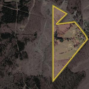 Photo #87 of 6385 Marysville Road, Gladys, VA 76.2 acres