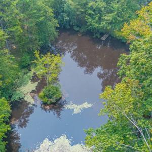 Photo #83 of 6385 Marysville Road, Gladys, VA 76.2 acres