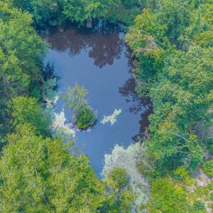 Photo #82 of 6385 Marysville Road, Gladys, VA 76.2 acres