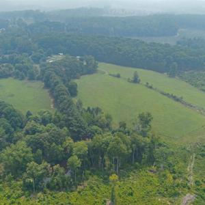 Photo #85 of 6385 Marysville Road, Gladys, VA 76.2 acres