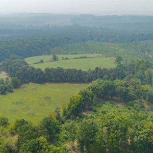 Photo #57 of 6385 Marysville Road, Gladys, VA 76.2 acres