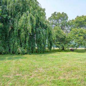 Photo #42 of 6385 Marysville Road, Gladys, VA 76.2 acres