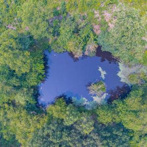 Photo #59 of 6385 Marysville Road, Gladys, VA 76.2 acres