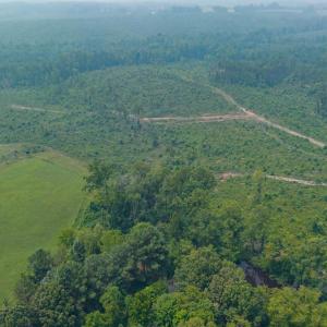 Photo #56 of 6385 Marysville Road, Gladys, VA 76.2 acres