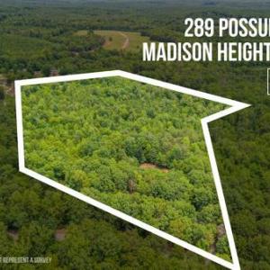 Photo #3 of 289 Possum Island Rd, Madison Heights, VA 19.6 acres
