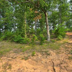 Photo #26 of 407 Daybreak Terrace, Hurt, VA 13.8 acres