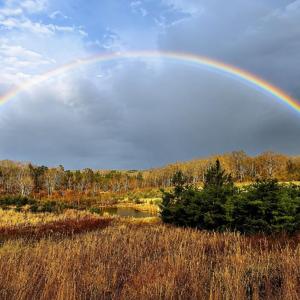 Photo #25 of 407 Daybreak Terrace, Hurt, VA 13.8 acres