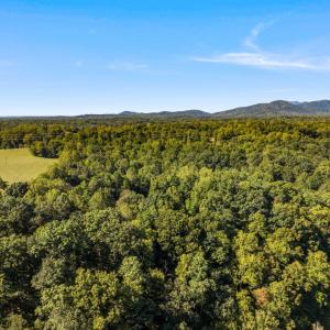 Photo #51 of 966 Cherry Hill Road, Amherst, VA 24.7 acres