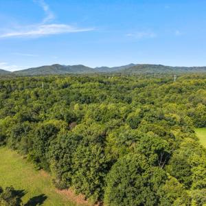 Photo #52 of 966 Cherry Hill Road, Amherst, VA 24.7 acres