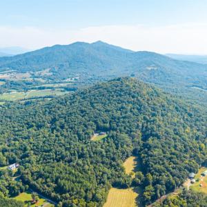Photo #47 of 141 Acorn Lane, Monroe, VA 27.6 acres