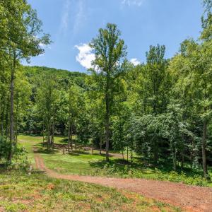 Photo #7 of 1614 Venturous Trail, Goode, VA 29.6 acres