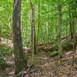 Photo #53 of 933 Rothowood Road, Lynchburg, VA 0.9 acres