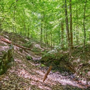 Photo #54 of 933 Rothowood Road, Lynchburg, VA 0.9 acres