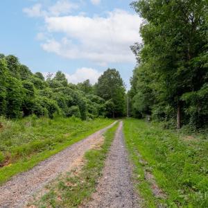 Photo #36 of 5447 Promise Land Road, Appomattox, VA 28.4 acres
