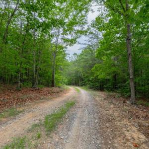 Photo #35 of 5447 Promise Land Road, Appomattox, VA 28.4 acres
