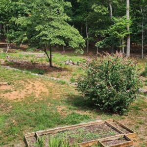 Photo #52 of 297 Poor House Farm Road, Amherst, VA 3.0 acres