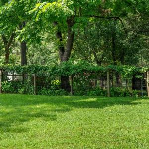 Photo #46 of 2920 Goode Station Road, Goode, VA 0.5 acres