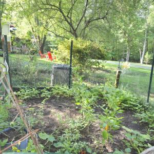 Photo #83 of 113 Sunburst Hills Road, Evington, VA 4.0 acres