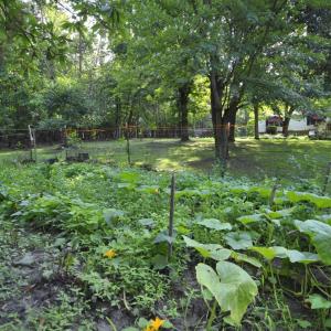 Photo #73 of 113 Sunburst Hills Road, Evington, VA 4.0 acres