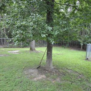 Photo #54 of 113 Sunburst Hills Road, Evington, VA 4.0 acres