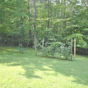 Photo #86 of 113 Sunburst Hills Road, Evington, VA 4.0 acres