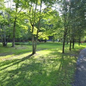 Photo #72 of 113 Sunburst Hills Road, Evington, VA 4.0 acres