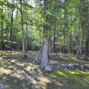 Photo #91 of 113 Sunburst Hills Road, Evington, VA 4.0 acres