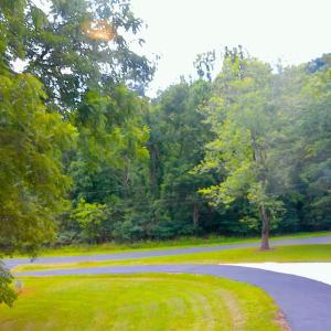 Photo #59 of 292 Briarwood Drive, Amherst, VA 3.7 acres