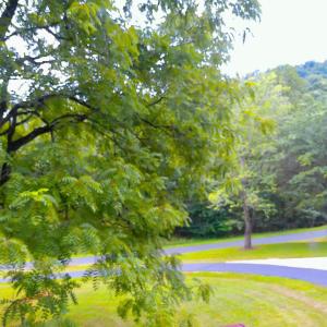 Photo #15 of 292 Briarwood Drive, Amherst, VA 3.7 acres