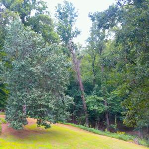 Photo #60 of 292 Briarwood Drive, Amherst, VA 3.7 acres