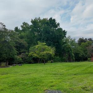Photo #86 of 911 Langhorne Road, Lynchburg, VA 1.1 acres