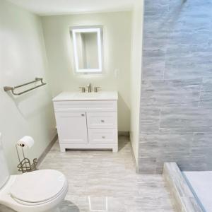 Terrace Level Apartment Bath