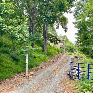 Photo #20 of 296 Hawks Nest Road, Monroe, VA 19.8 acres