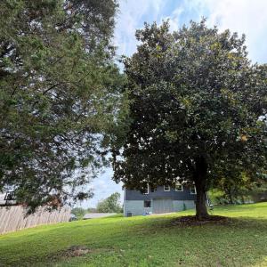 Photo #28 of 1211 Dandridge Drive, Lynchburg, VA 0.3 acres